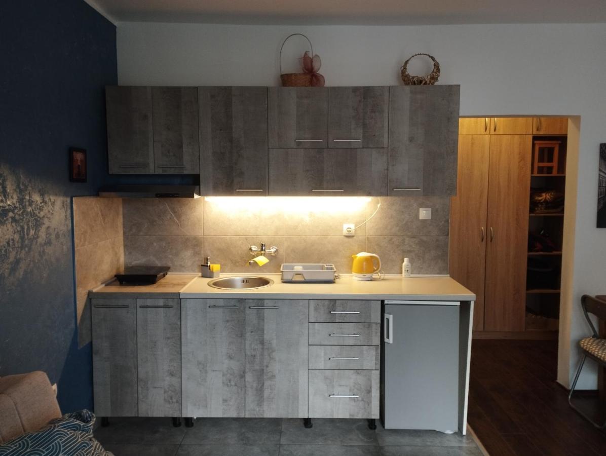 Apartman Tatjana Νόβι Σαντ Εξωτερικό φωτογραφία