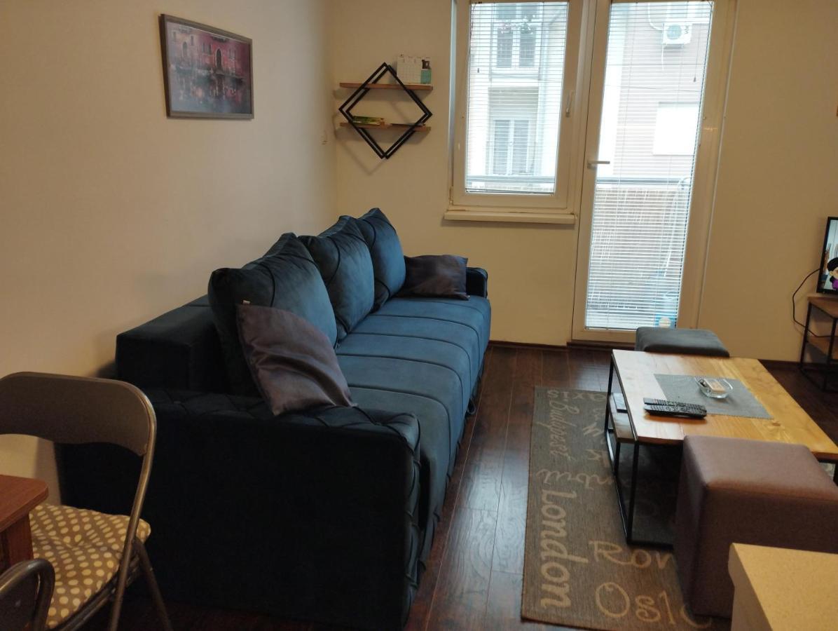 Apartman Tatjana Νόβι Σαντ Εξωτερικό φωτογραφία