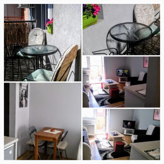 Apartman Tatjana Νόβι Σαντ Εξωτερικό φωτογραφία